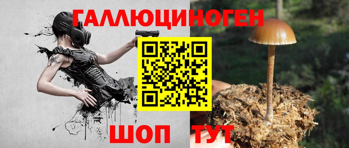 Москва  Псилоцибиновые грибы GOLDEN TEACHER  Вход с VPN  Псилоцибиновые грибы Magic Shrooms 