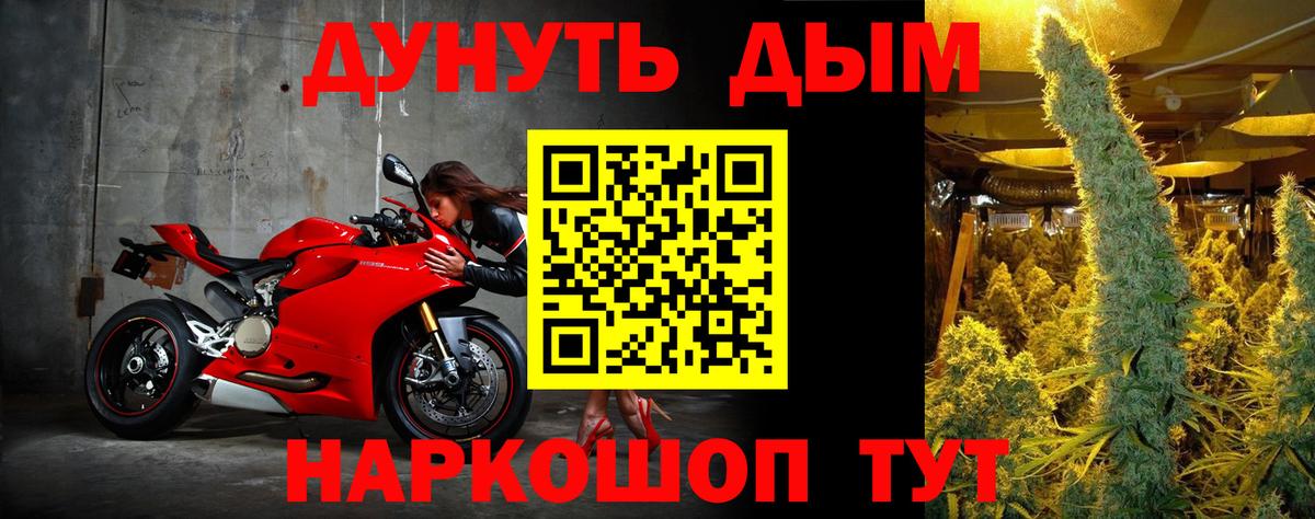 Конопля ГИДРОПОН Москва